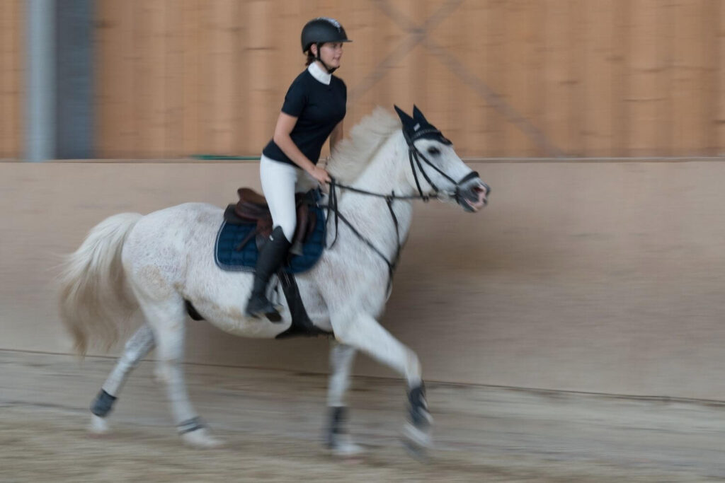 Franz Paul Podek Photography