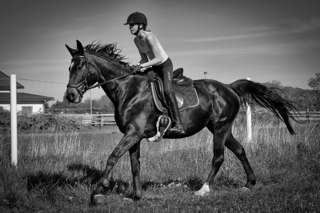 Franz Paul Podek Photography