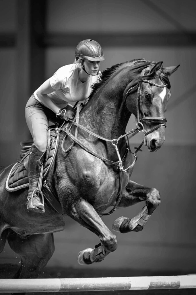 Franz Paul Podek Photography