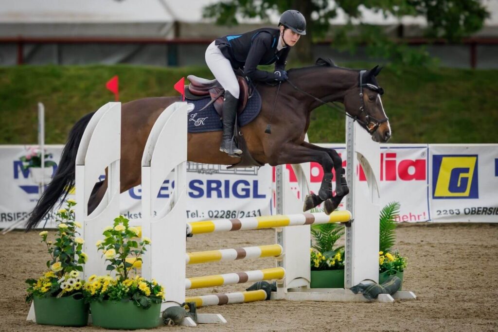 Foto von Pferd und Reiter erstellt von Franz Paul Podek Photography