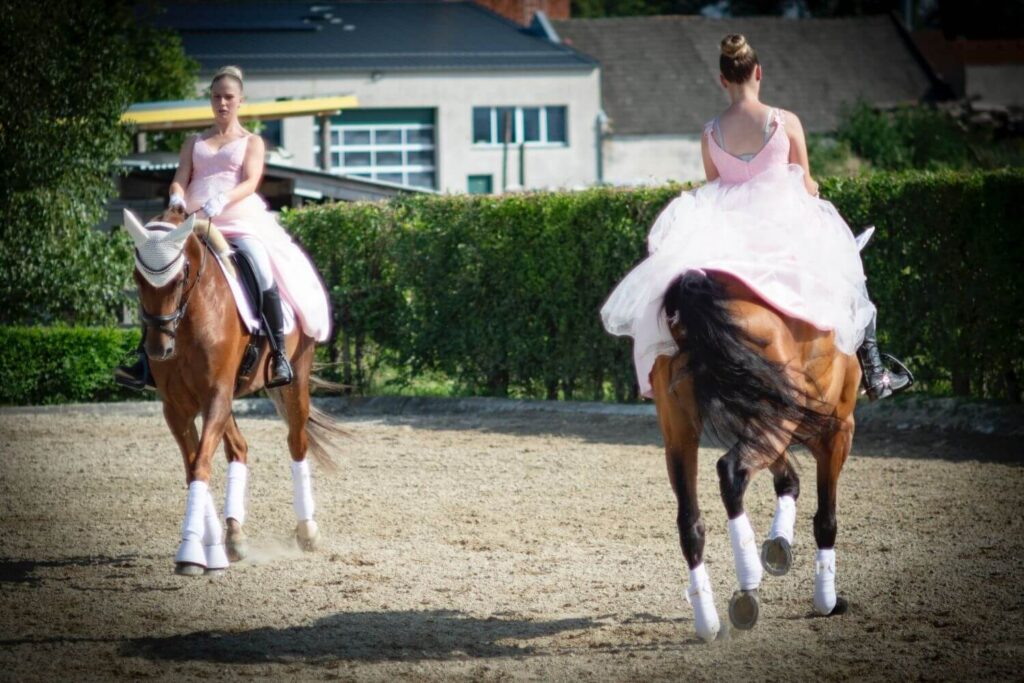 Franz Paul Podek Photography