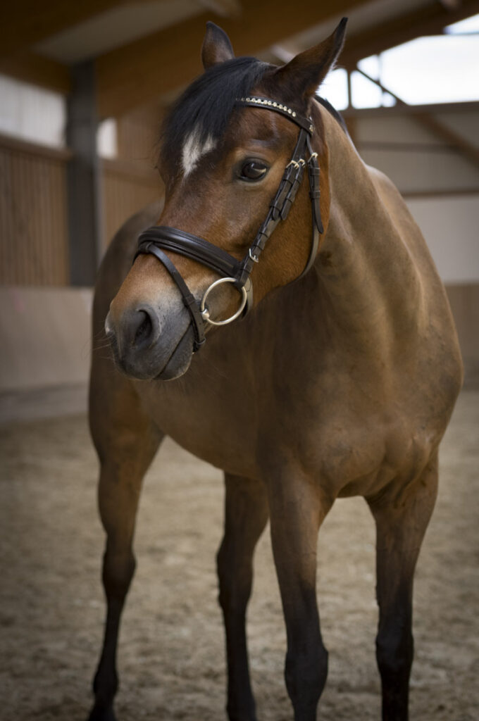 Franz Paul Podek Photography 2023 07 09 11 37 15 L1000618