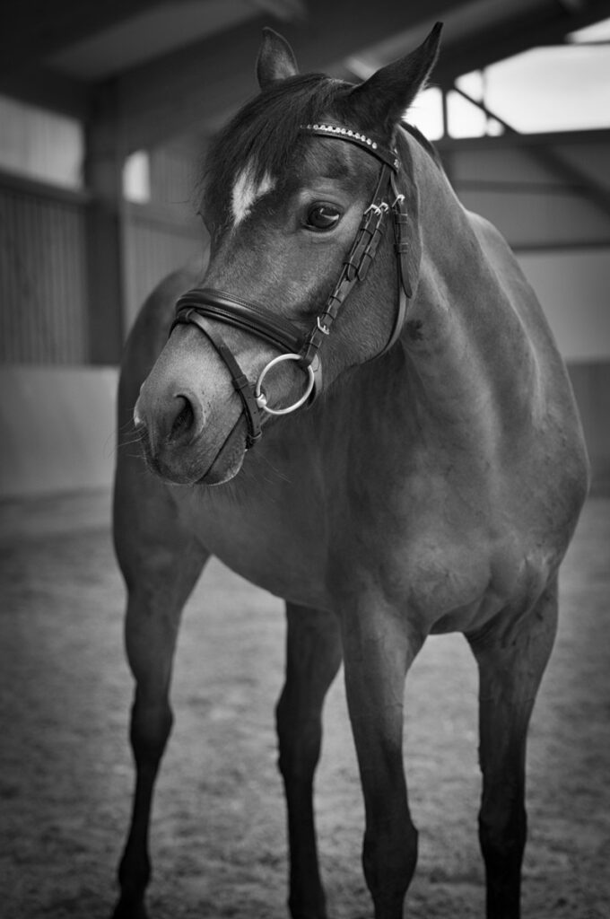 Franz Paul Podek Photography 2023 07 09 11 37 15 L1000618 Bearbeitet