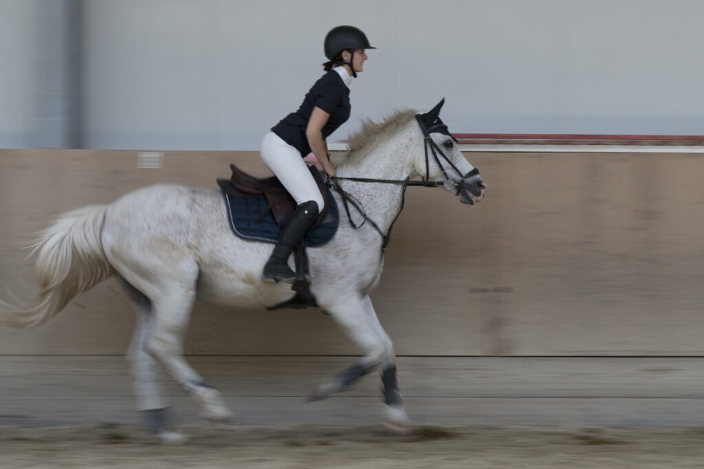 Franz Paul Podek Photography 2023 07 09 13 13 15 DSC2942