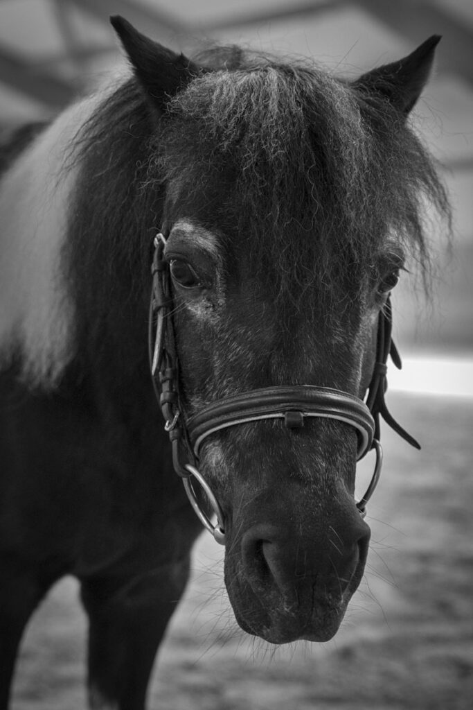 Franz Paul Podek Photography 2023 07 09 13 36 39 DSC3029 Bearbeitet