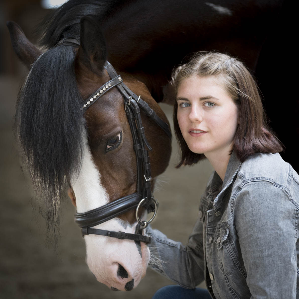 Mein Portfolio 2 Pferdefotograf Pferd und Frau