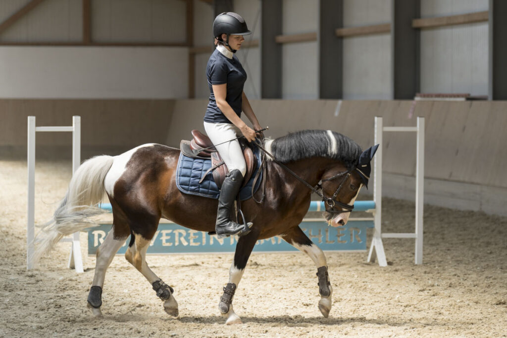 Franz Paul Podek Photography 2023 07 09 14 21 20 DSC3077