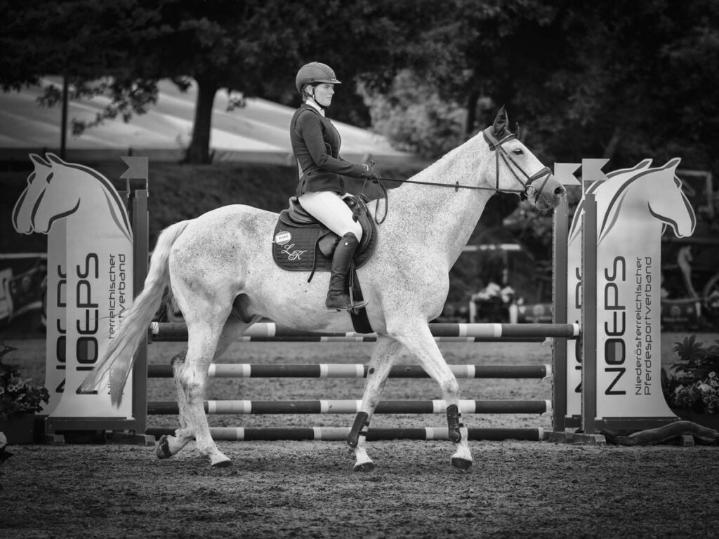 Franz Paul Podek Photography 2025 05 29 10 06 25 5291656 Bearbeitet