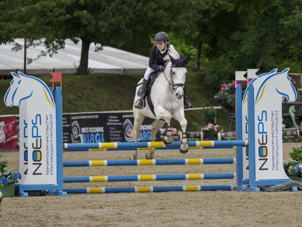 Franz Paul Podek Photography 2025 05 29 10 07 42 5291731