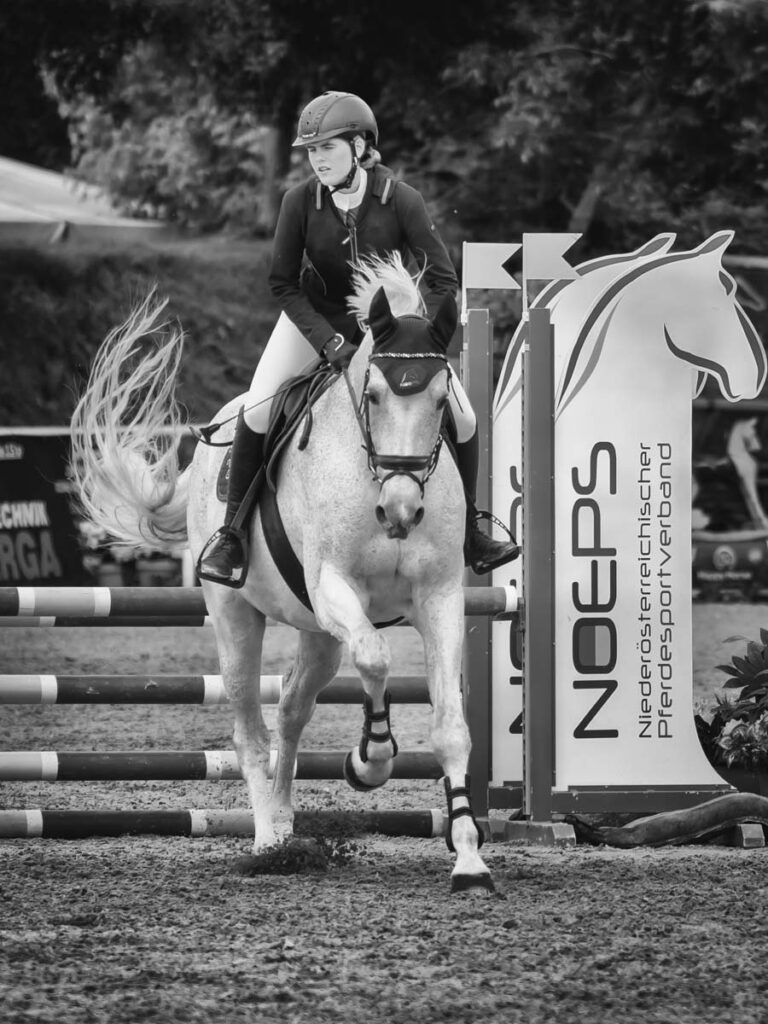 Franz Paul Podek Photography 2025 05 29 10 07 43 5291745 Bearbeitet