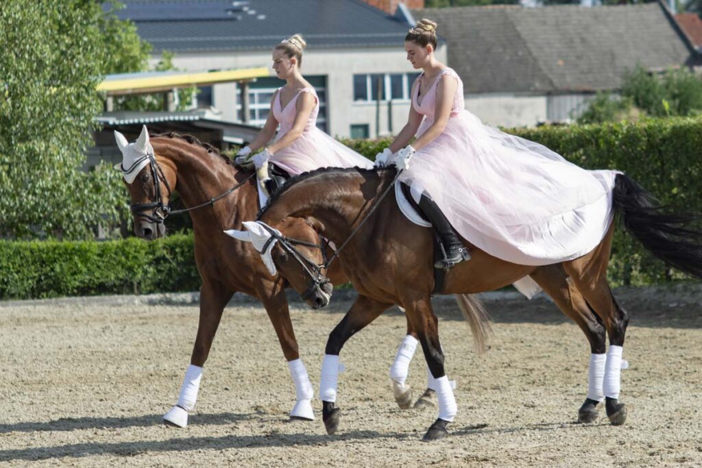 Franz Paul Podek Photography 2025 07 19 16 46 59 L1060583