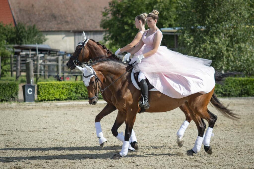 Franz Paul Podek Photography 2025 07 19 16 47 01 L1060585