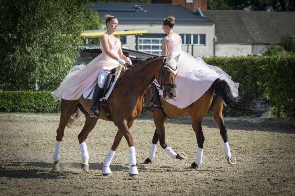 Franz Paul Podek Photography 2025 07 19 16 47 17 L1060588