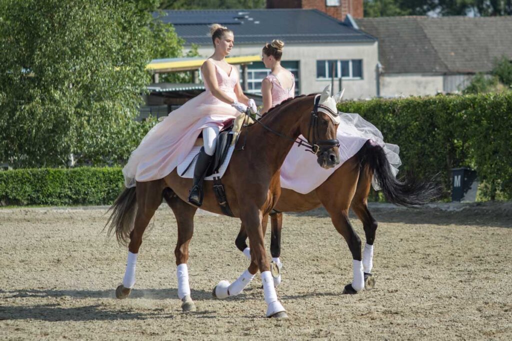 Franz Paul Podek Photography 2025 07 19 16 47 17 L1060589