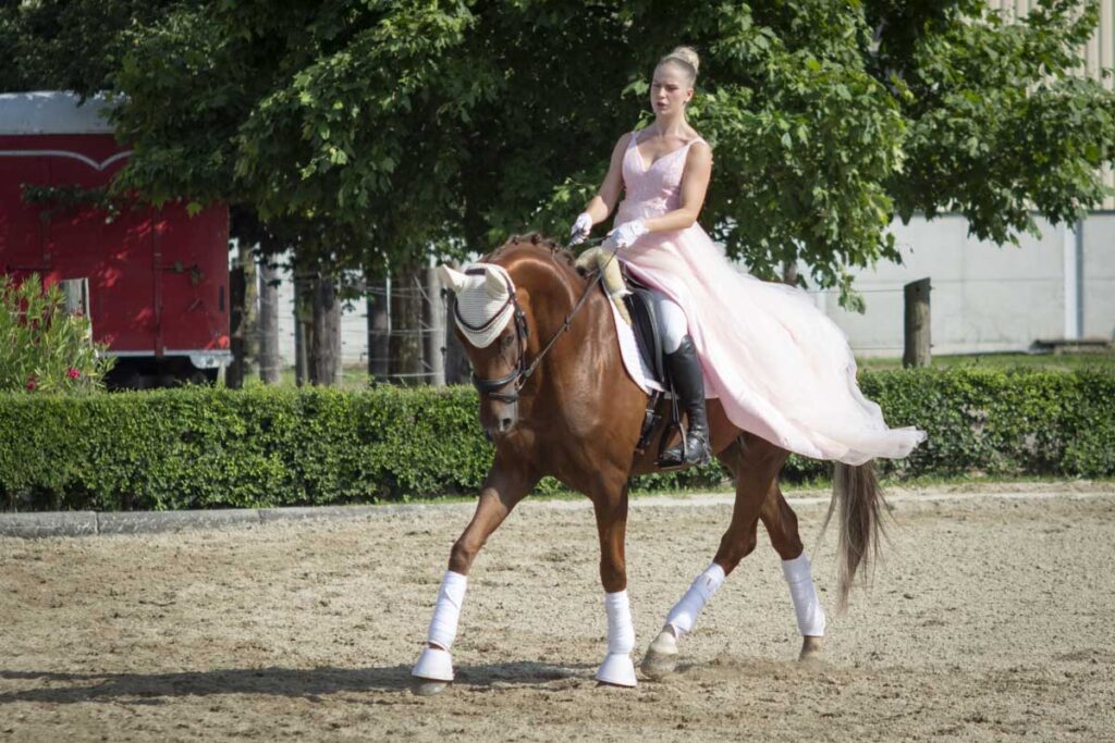 Franz Paul Podek Photography 2025 07 19 16 47 52 L1060597