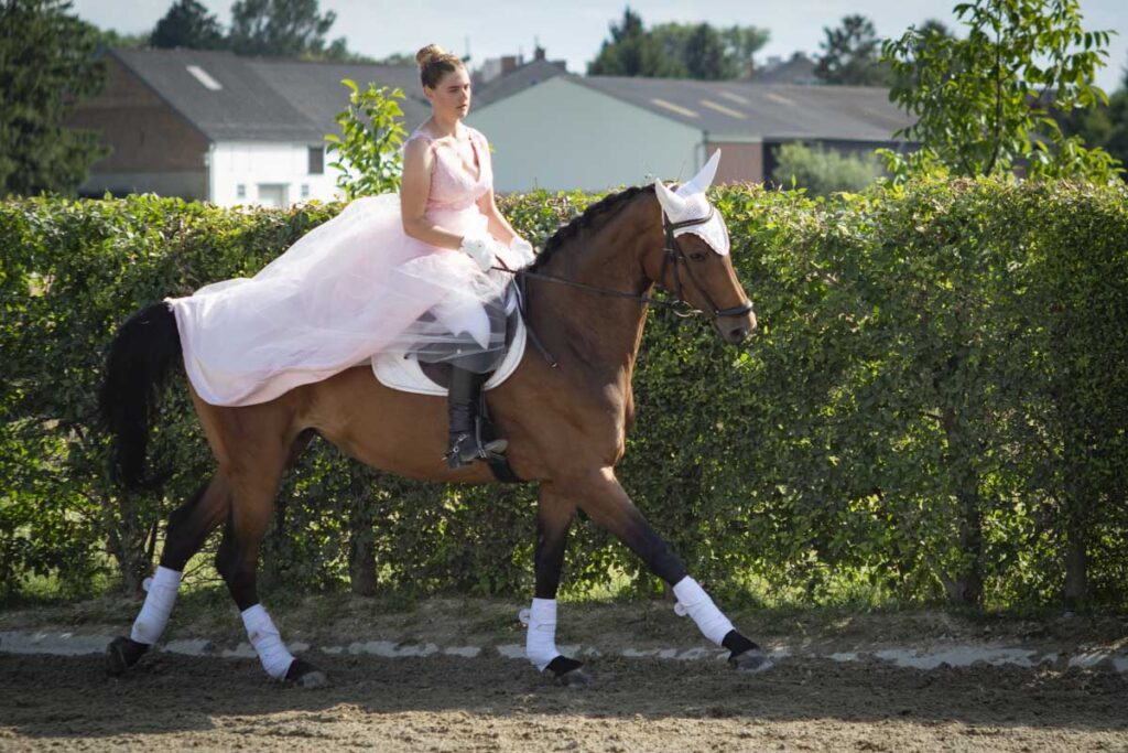 Franz Paul Podek Photography 2025 07 19 16 48 31 L1060615