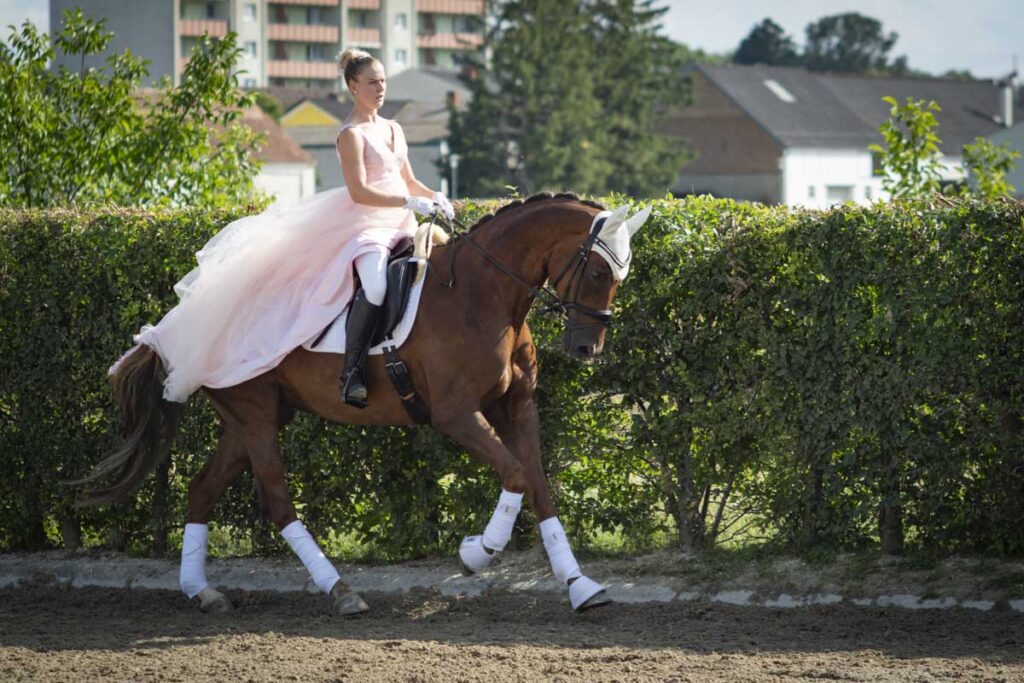 Franz Paul Podek Photography 2025 07 19 16 48 41 L1060620