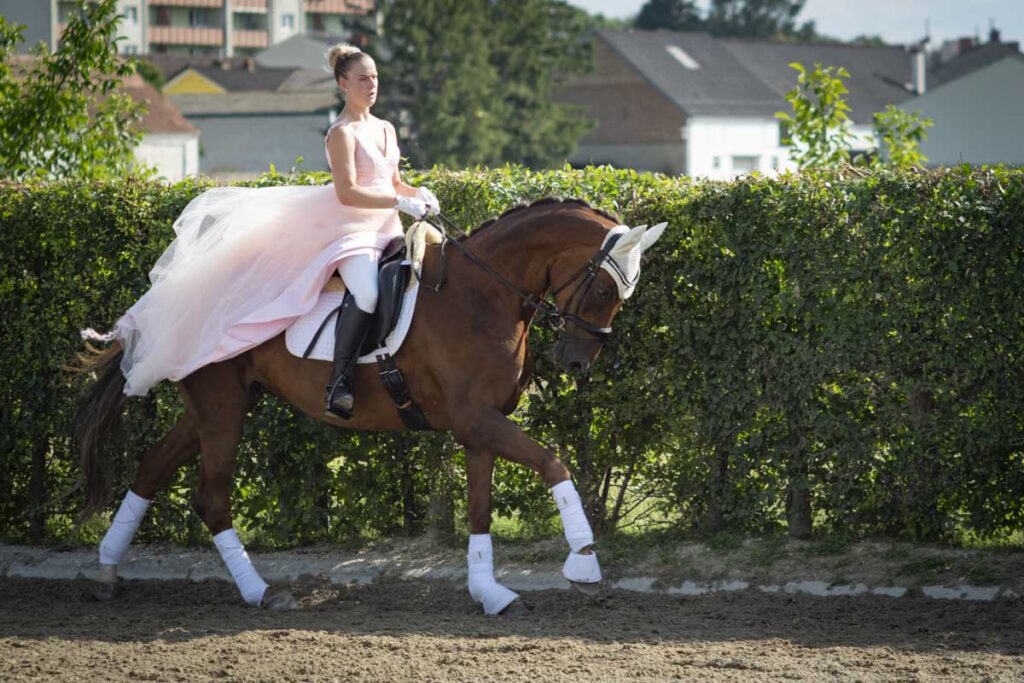 Franz Paul Podek Photography 2025 07 19 16 48 41 L1060621