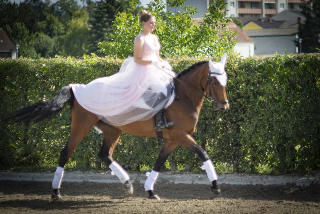 Franz Paul Podek Photography 2025 07 19 16 49 03 L1060631