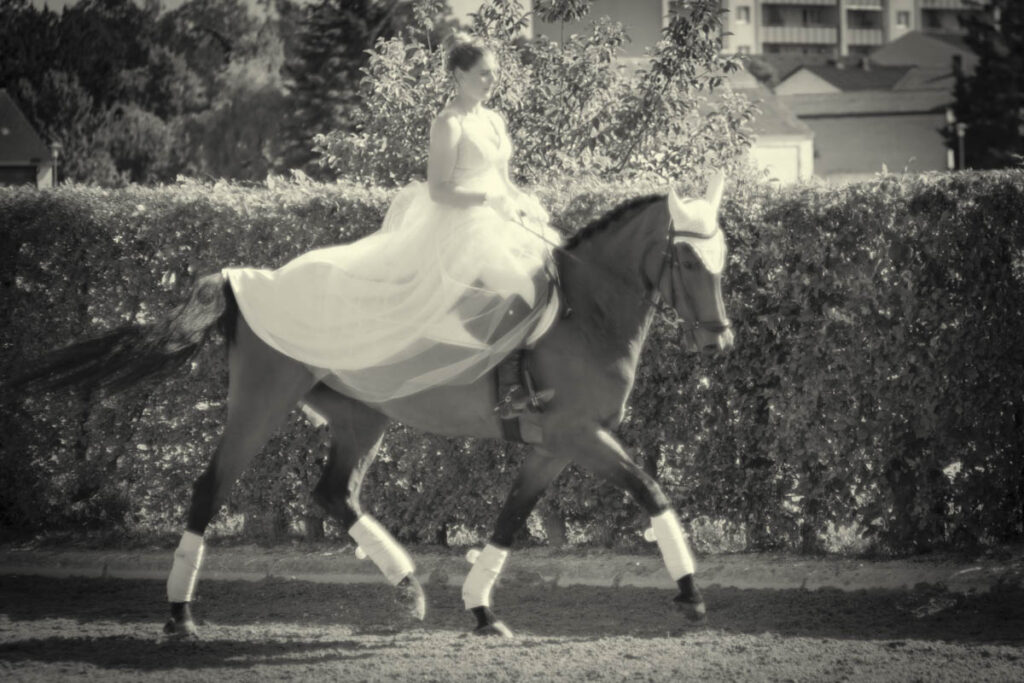 Franz Paul Podek Photography 2025 07 19 16 49 03 L1060631 Bearbeitet