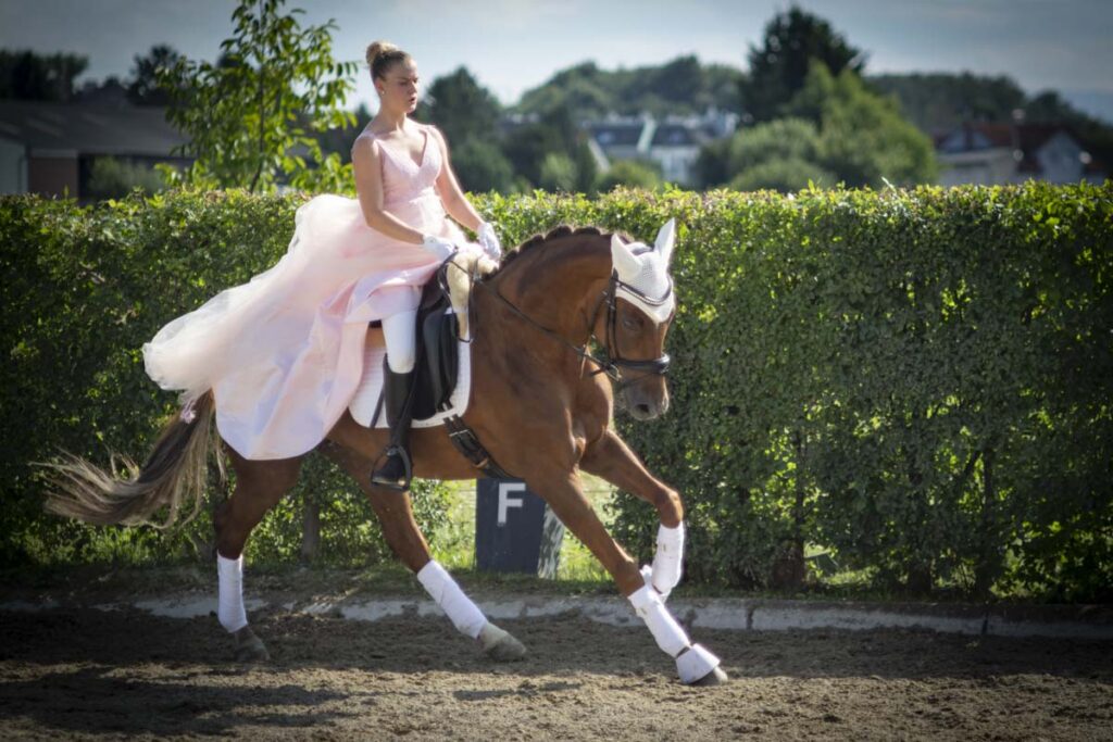 Franz Paul Podek Photography 2025 07 19 16 50 27 L1060657