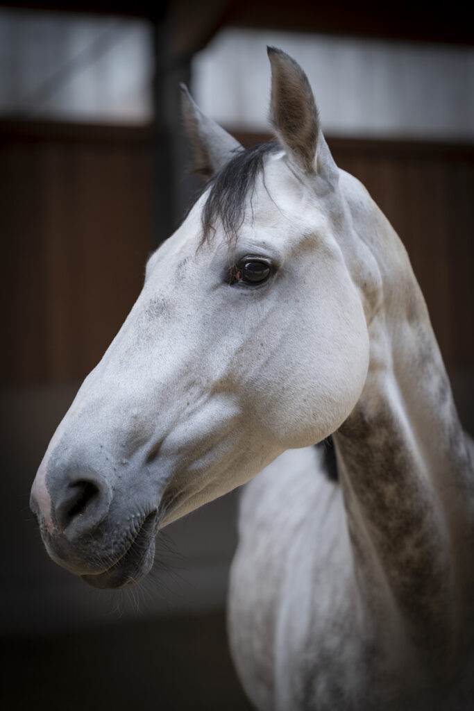 Franz Paul Podek Photography 2025 09 13 11 09 28 L1010495