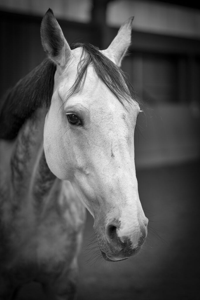 Franz Paul Podek Photography 2025 09 13 11 09 33 L1010499 Bearbeitet