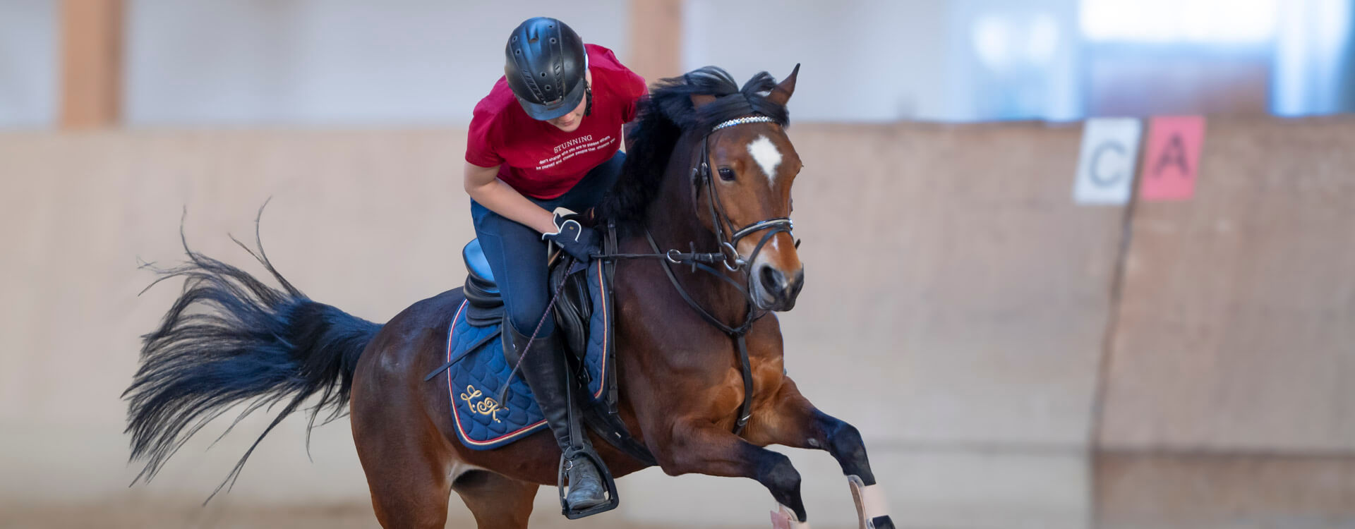 Pferdefotografie 54 fotograf fuer pferde1