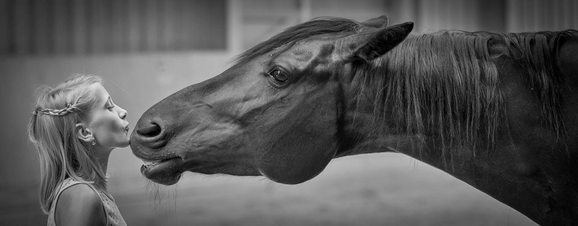 Pferdefotografie 57 fotograf fuer pferde4