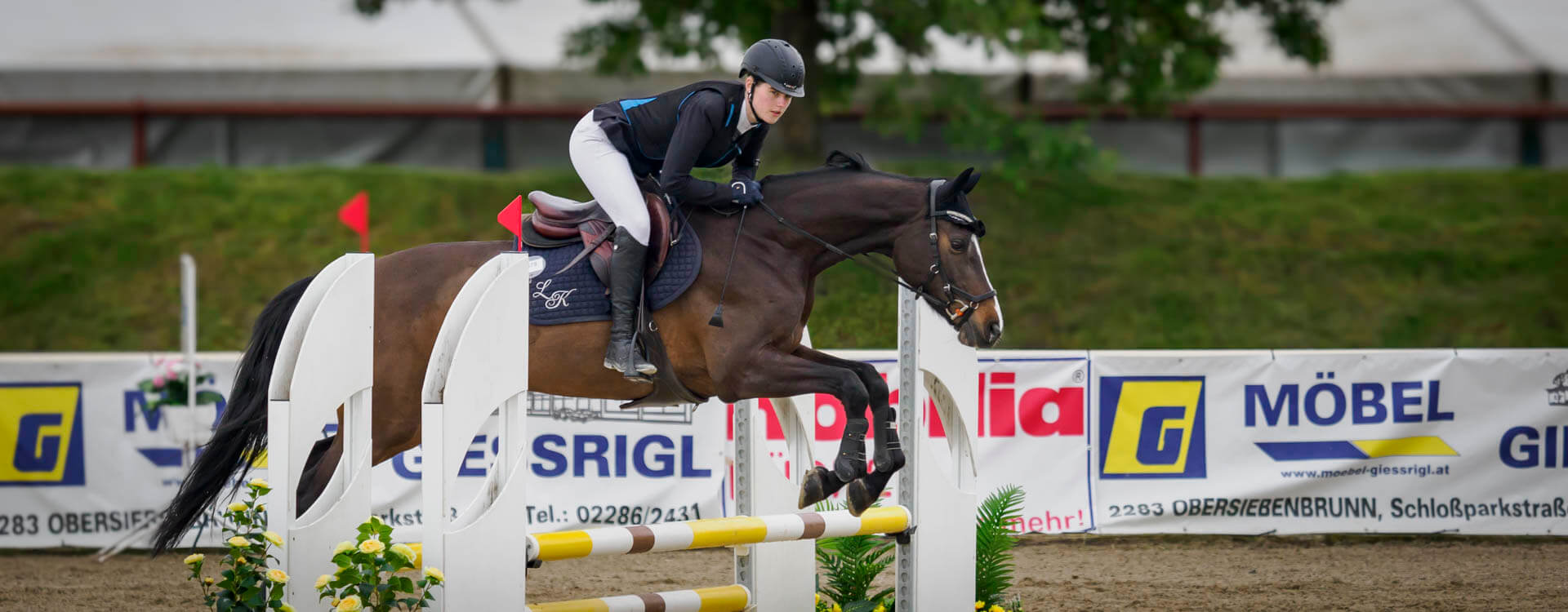 Pferdefotografie 58 fotograf fuer pferde5