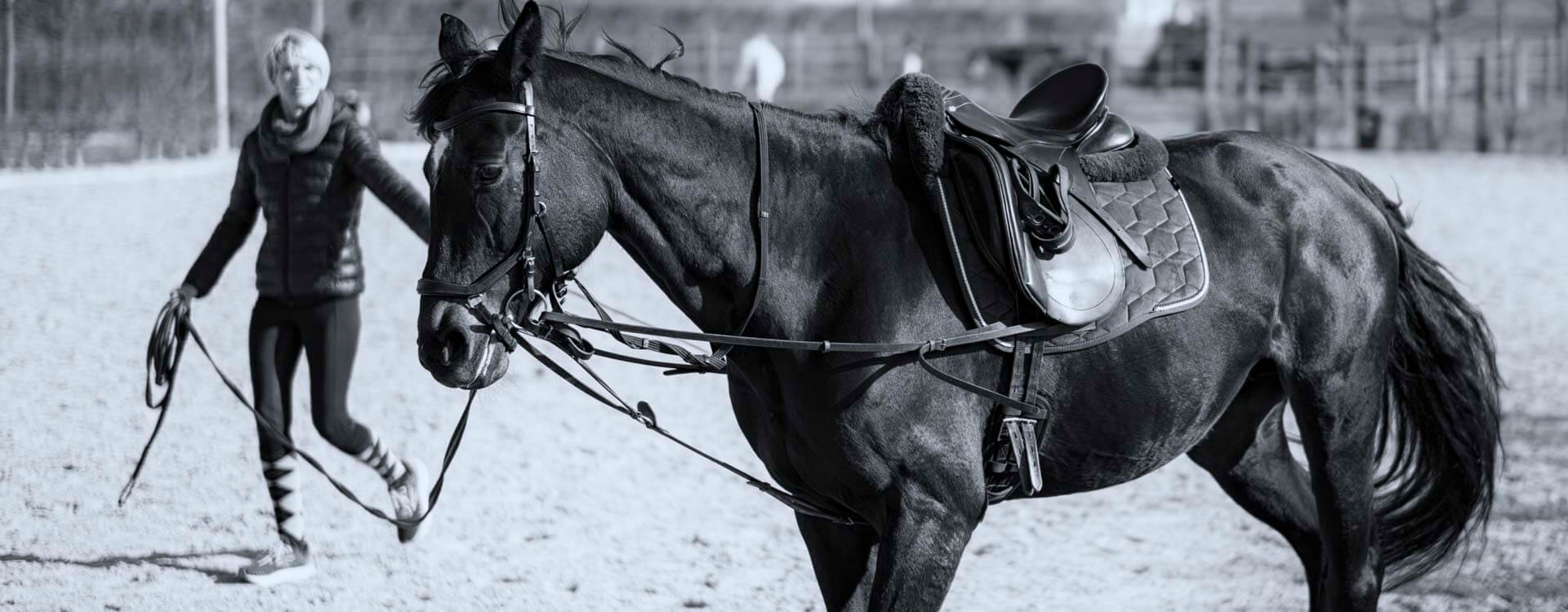 Pferdefotografie 60 fotograf fuer pferde7