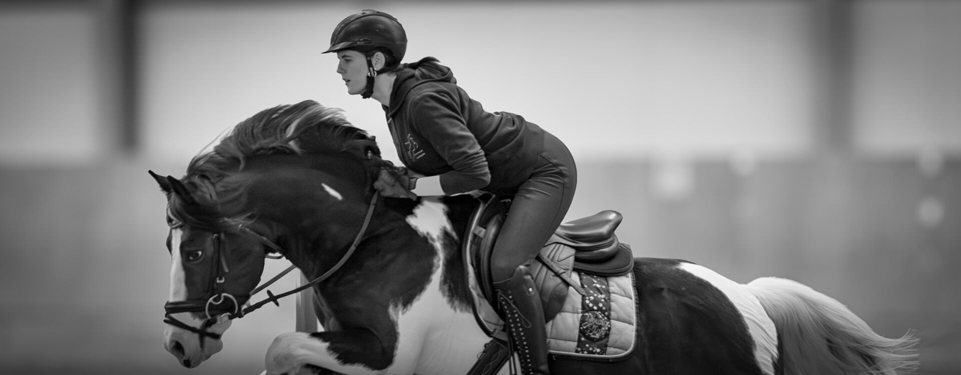 Pferdefotografie 61 fotograf fuer pferde8