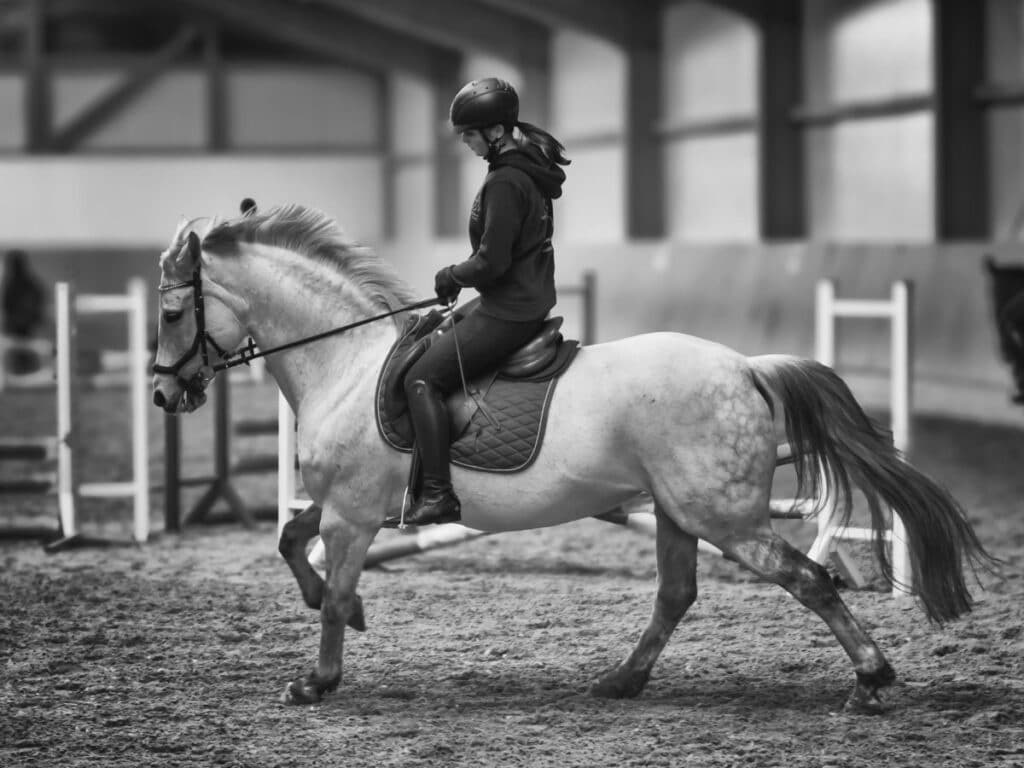 Franz Paul Podek Photography 2024 01 04 12 01 41 1041049 Bearbeitet