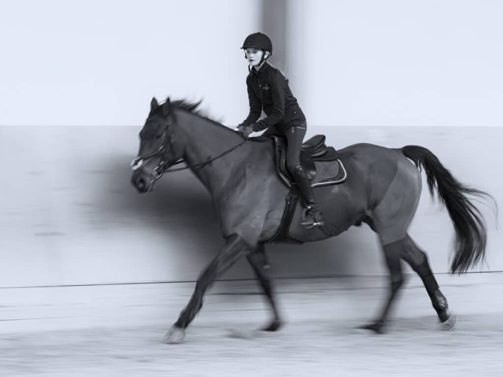 Franz Paul Podek Photography 2024 02 18 15 53 13 2180274 Bearbeitet