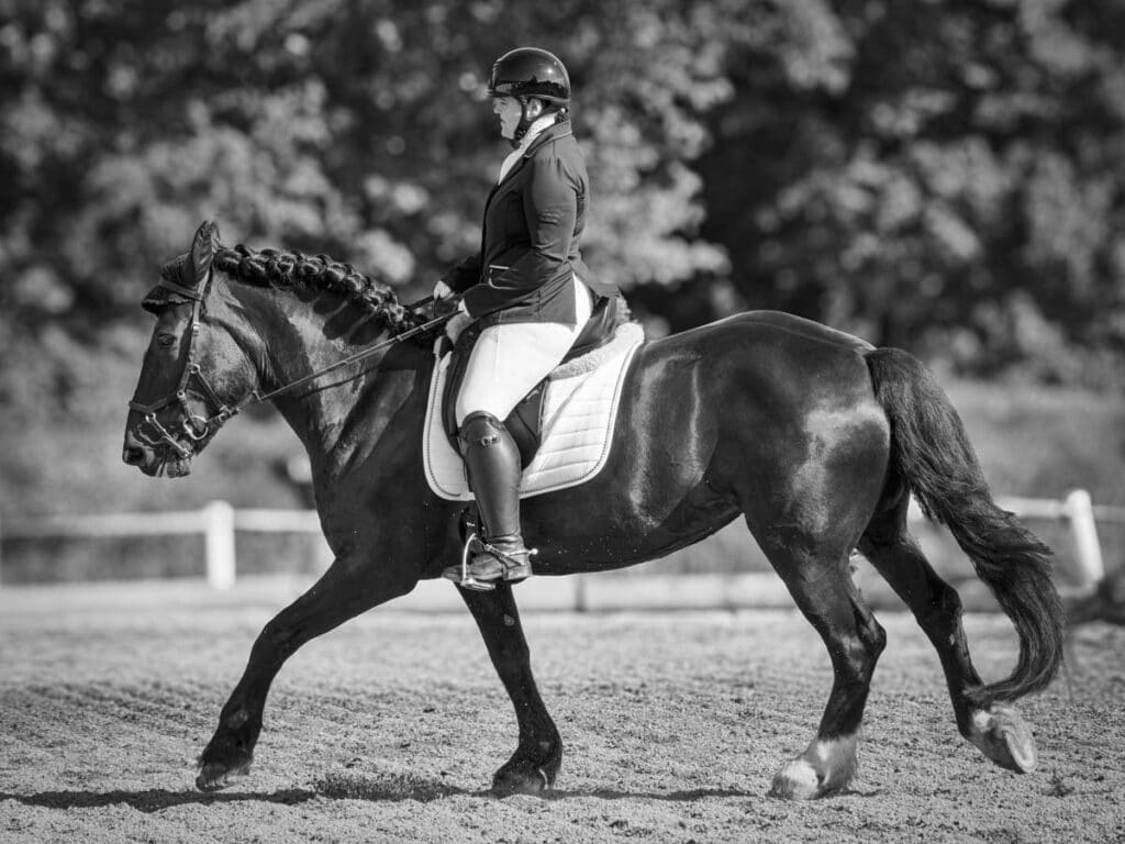 Franz Paul Podek Photography 2024 05 19 08 24 08 5190399 Bearbeitet 2