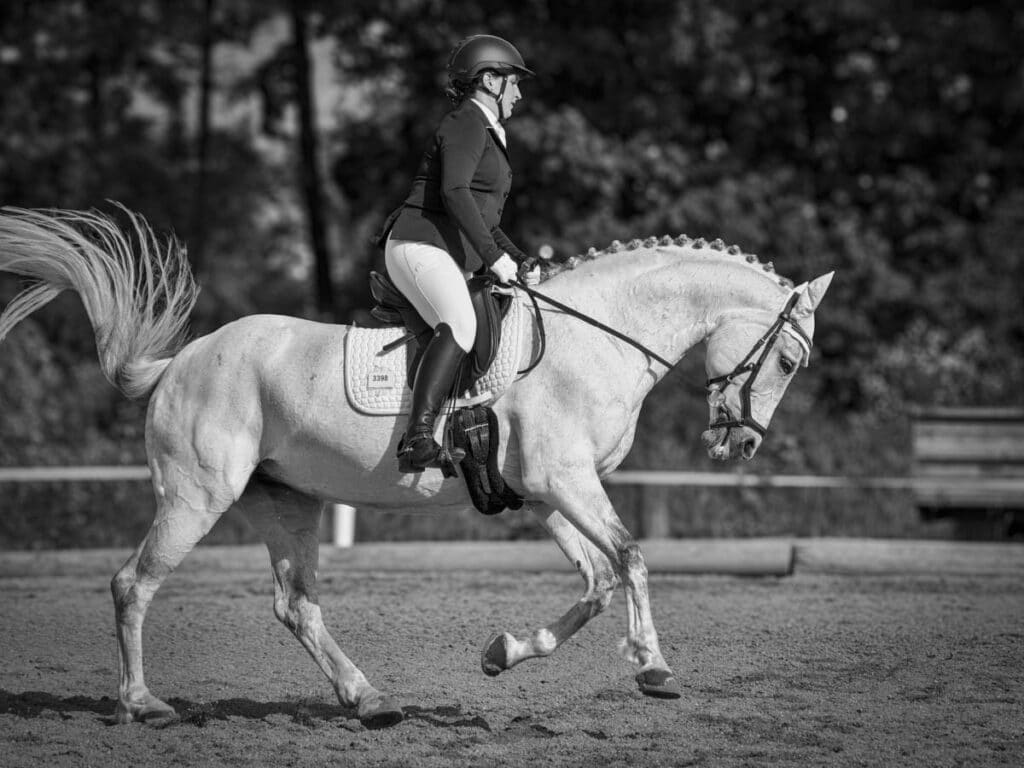 Franz Paul Podek Photography 2024 05 19 08 36 23 5190490 Bearbeitet 2