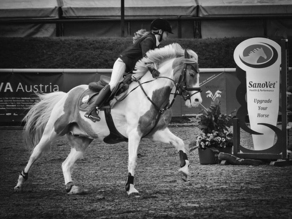 Franz Paul Podek Photography 2025 05 29 07 34 53 5291301 Bearbeitet